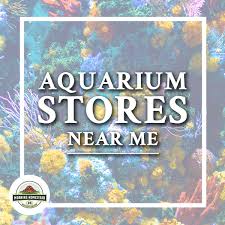 Aquarium Stores Near Me Aquarium Store Aquarium Snails Aquarium Design