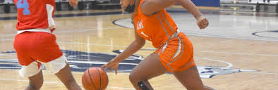 He averaged 10.2 points and 2.7 assists as a freshman. Jazelle Young Archives Illinois High School Basketball