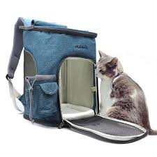 They're a fantastic alternative to other carrying methods for those with a bit of style. The 25 Best Cat Backpacks Of 2020 Cat Life Today