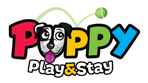 We did not find results for: Puppy Play And Stay Dog Daycare Boarding Dog Grooming Lakeville Mn