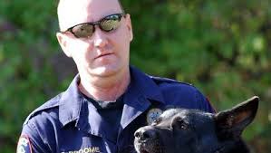 Greer police report death of K-9 drug dog