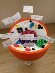 Maybe you would like to learn more about one of these? Building Cell Models Abingdon Prep School