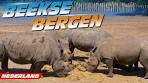 Safaripark Beekse Bergen (Hilvarenbeek, Nederland) - YouTube