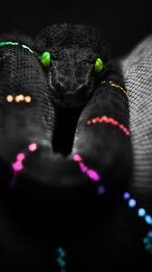 1080x1920 joker art joker batman the joker superman joker wallpapers desktop wallpapers joker iphone wallpaper joker quotes iphone 7 plus see cool collections of joker quotes wallpapers for desktop laptop and mobiles. 33 Snake Wallpaper Ideas Snake Snake Wallpaper Beautiful Snakes