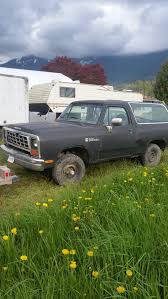 Image result for Meadow Green 1987 Truck