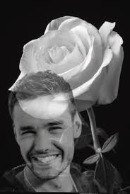 teardrops 💧 (@1directionilysm)