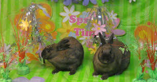 Over 70 easter activities and crafts for kids. 3 Fun Easter Activities In Norfolk Va Priority Toyota Chesapeake Blog