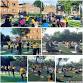 Free International Yoga Day