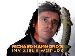 Richard Hammond's Invisible Worlds: Season 1, Episode 3