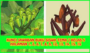 Kunci Jawaban Buku Siswa Tema 7 Kelas 5 Halaman 1 2 6 7 8 9 13 14 15 16 Halaman Buku Kunci