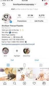 Find the perfect products for your beloved pet at an affordable price! Shop By Instagram Boutique Pups Llc