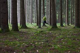 The terms and conditions to continue the installation. Man Running In The Forest Photo Image Picture Free Download 501454889 Lovepik Com