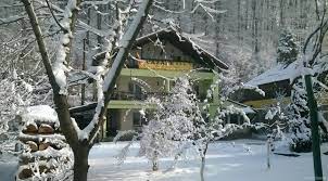 Vila canionul 7 scari va pune la dispozitie in acest sfarsit de an trei pachete turistice eveniment/cazare fara mese festive si anume; Cazare TimiÈu De Jos Vila Canionul 7 ScÄri Cazareturist Ro