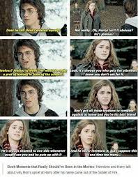 Hermione Talking To Harry Book Moment Harry Potter Book Quotes Harry Potter Universal Harry Potter