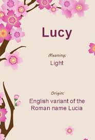 Lucy Name Meaning In 2020 Names With Meaning Meaning Of Your Name Names