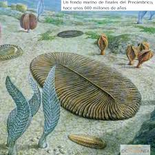 La vida en los mares primitivos: una cuestión de fondo La vida en los  #océanos  ha sido un tema frecuente de fascinación y, por lo tanto, de  estudio  para l@s