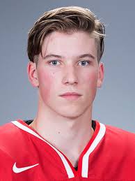 Just wanted to let all my hockey mutuals know that if i see you supporting jake virtanen you're getting blocked. 2015 U18 Ivan Hlinka Memorial Cup Nolan Patrick