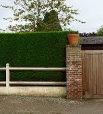 Also, for this side of the garden and the bottom of the garden backing onto a field, which doesn't adjoin neighbours, how high can our fence go? Fences For Privacy 9 Great Ideas For Garden Screening The Middle Sized Garden Gardening Blog