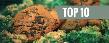 Charlotte engel ist total überfordert! Top 10 Cannabis Rezepte Zamnesia Blog