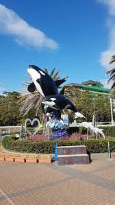 Kamogawa Sea World Japan In 2021 Sea World Kamogawa Japan