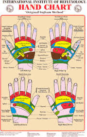 Reflexology Foot And Hand Charts Notebook Size