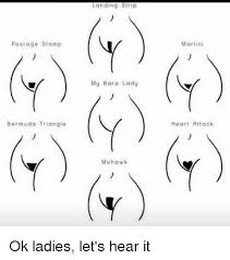 See more ideas about landing strip, home, decor. Postage Stamp Bermuda Triangle Landing Strip My Bare Lady Mohawk Martini Heart Attack Ok Ladies Let S Hear It Bermuda Triangle Meme On Me Me