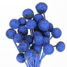 Blue flowers circle belly button tattoo design. Blue Bulk Billy Balls Wholesale Fiftyflowers Com