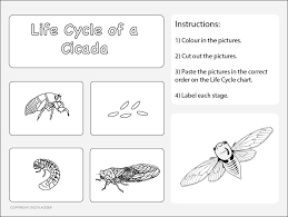 Life Cycle Of A Cicada Worksheet 2 Science Skills Online Interactive Activity Lessons Life Cycles Science Skills Book Corner Classroom