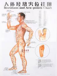 Us 9 99 Clear Side Wall Map The Human Body Chart Meridian Points Meridian Acupuncture Head Ear Hand Foot Scrapping In Chinese English In Massage