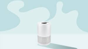 A variety of reasons may be to blame. Best Air Purifiers For Pets Allergies Smoke And Mold