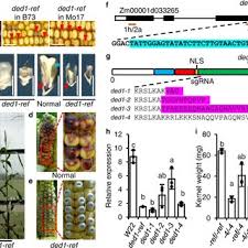A. Mark Settles's research works