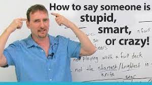 How To Call Someone Stupid Smart Or Crazy In English Engvid