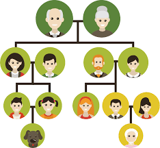 Hari ini kita akan membahasa tentang family loh atau dalam bahasa indonesia keluarga. Contoh Gambar Family Tree Pohon Keluarga Gratis Kosngosan