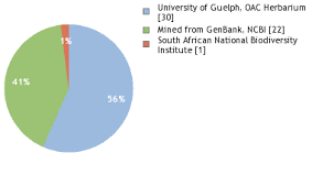 Image result for Tripogon minimus