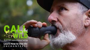 How to Use the Enchantress: Overview