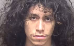 Report: San Antonio man accused of sexually abusing his dog sentenced to 8  years in prison