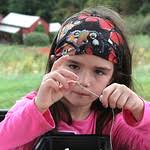 Harvard Alpaca Farm owner, Matthew Varrell watches…