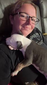 We warmly welcome the Ricardo Morales Family to our Wheaten Family! They  selected Aqua girl who will now be known as Piper. She will be joining two  Wheatens in their family!🥰🐾🐾 This