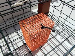 To form the entrance tunnel of the crab pot, cut chicken wire that's 2 meshes long. Rigging And Setup For Dungeness Crab Riptidefish
