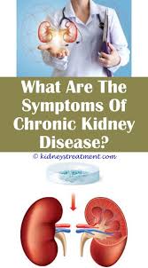 Pin On Kidney Disease Benefits Of