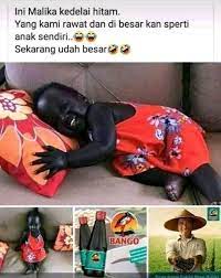 Selepas itu, dilakukan pembudidayaan malika seberat 40kg dan ternyata sukses. Facebook