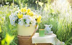 Il te delle 5 del pomeriggio, caldo e rigorosamente verde ha proprietà e benefici sul corpo e fa anche dimagrire. Il The Verde Fa Dimagrire Ma Quanto Ne Devo Bere