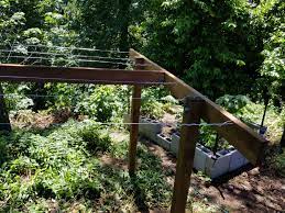A few quick serving ideas. I Built A Hardy Kiwi Trellis Album On Imgur