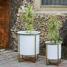 Iron Planter With Brass Stand White Project 62 Iron Planters Planters White Planters