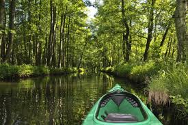 Kahnfahrt durch den kurort burg. Spreewald Picturesque Woodlands Tourism De