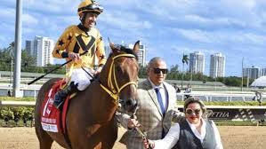 Grade 1 Winner Majestic Harbor Dies Suddenly At Age 14