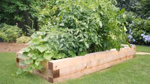 We did not find results for: These Tips Can Help You Raise Your Gardening Game
