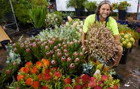 International florist proflowers ships to most major countries, including australia. Sydney Markets Insider S Guide To Visiting The Sydney Flower Market What You Really Need To Know