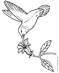 Have a look at the meet the birds pages to check the original colors of each. Coloring Pages Of Birds