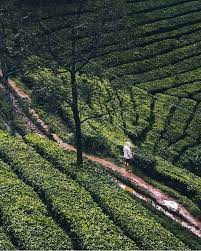 Puncak bogor merupakan tempat yang terkenal karena lingkungan alamnya yang asri. 5 Wisata Puncak Bogor Dengan Nuansa Natural Yang Amazing